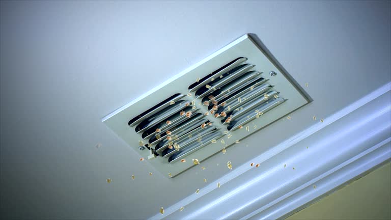 Best HVAC System Cleaning  in Pine Island, MN
