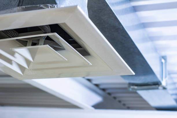 Best Ventilation Cleaning Services  in Pine Island, MN