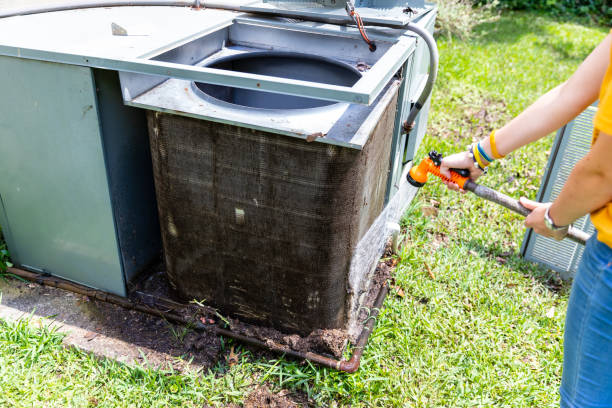 Best Best Air Duct Cleaning Company  in Pine Island, MN