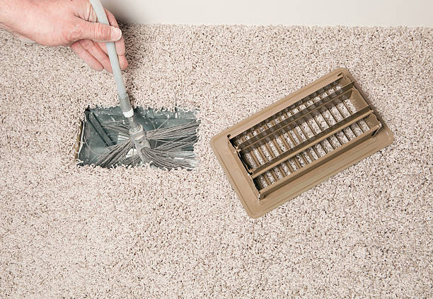 Best Home Air Vent Cleaning  in Pine Island, MN