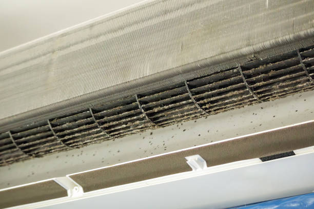 Best Ductwork Cleaning Services  in Pine Island, MN