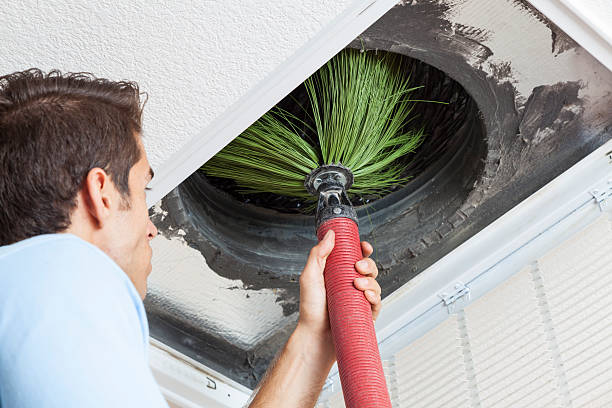 Best Air Duct Cleaning Company Near Me  in Pine Island, MN