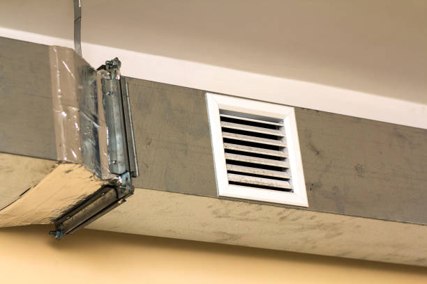 Best Air Duct Cleaning Near Me  in Pine Island, MN